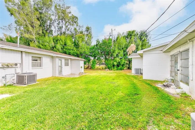 a view of a backyard with plants and large tree