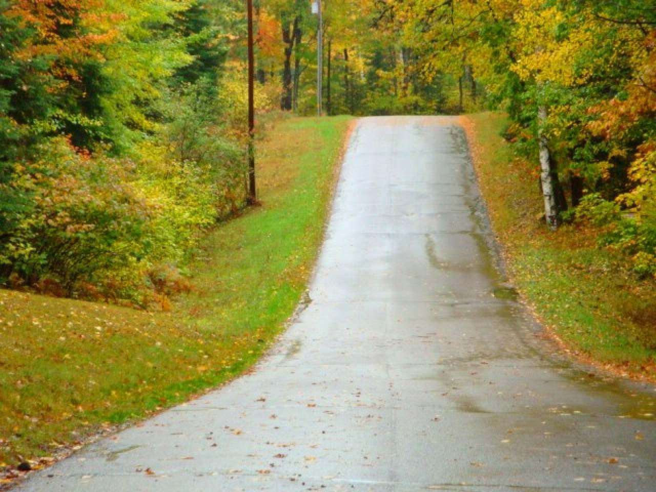 On Spruce Road Woodruff, WI 54568 - Photo 3 of 12 Gallery Image 3