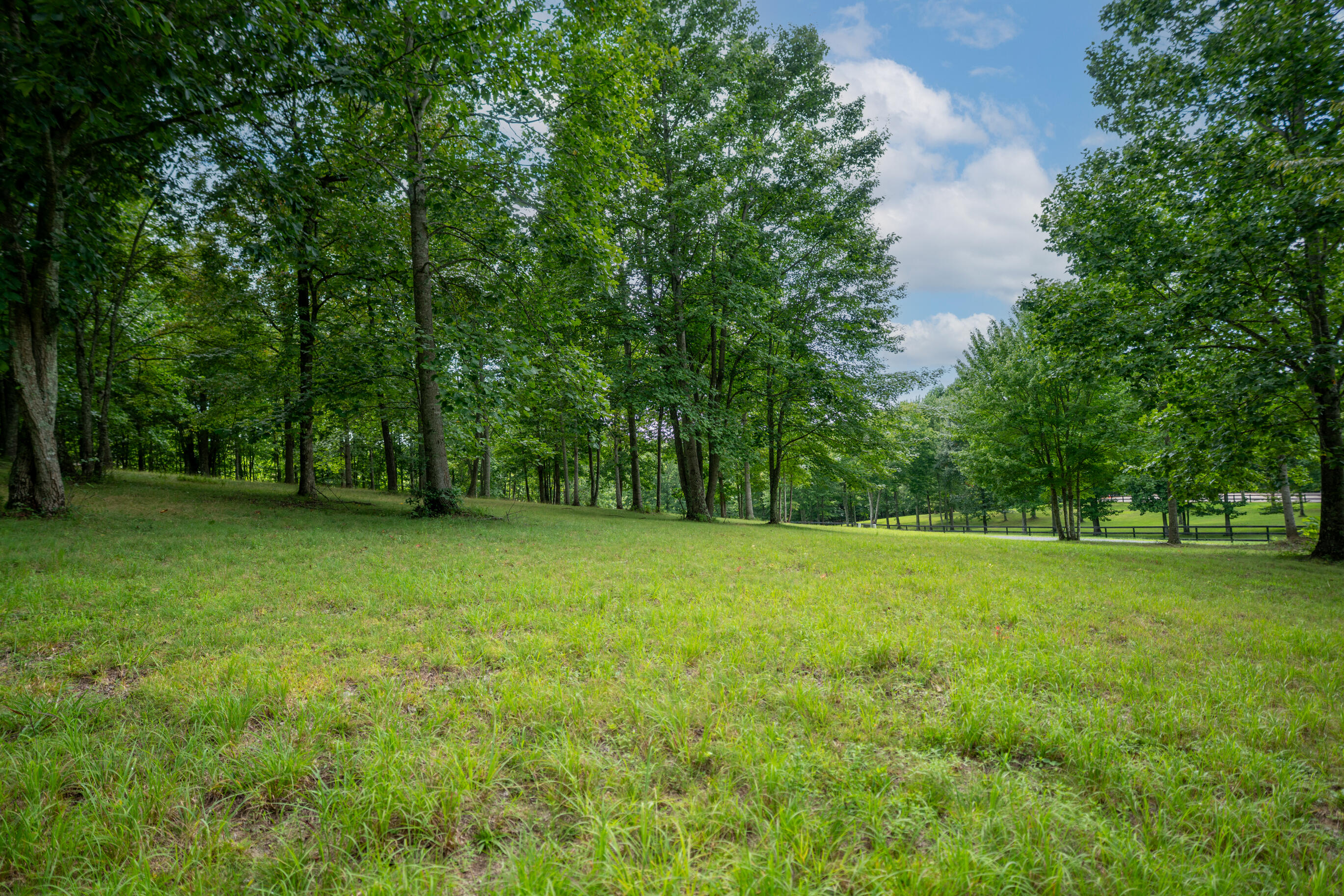 243 Roaring Creek Road Dunlap, TN 37327 - Photo 9 of 27 _DSC2463-Edit
