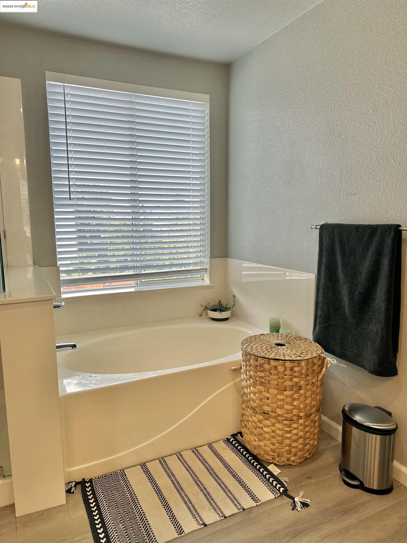 4519 Twin Creeks Court Tracy, CA 95377 - Photo 19 of 34 a bathroom with a bathtub and a window