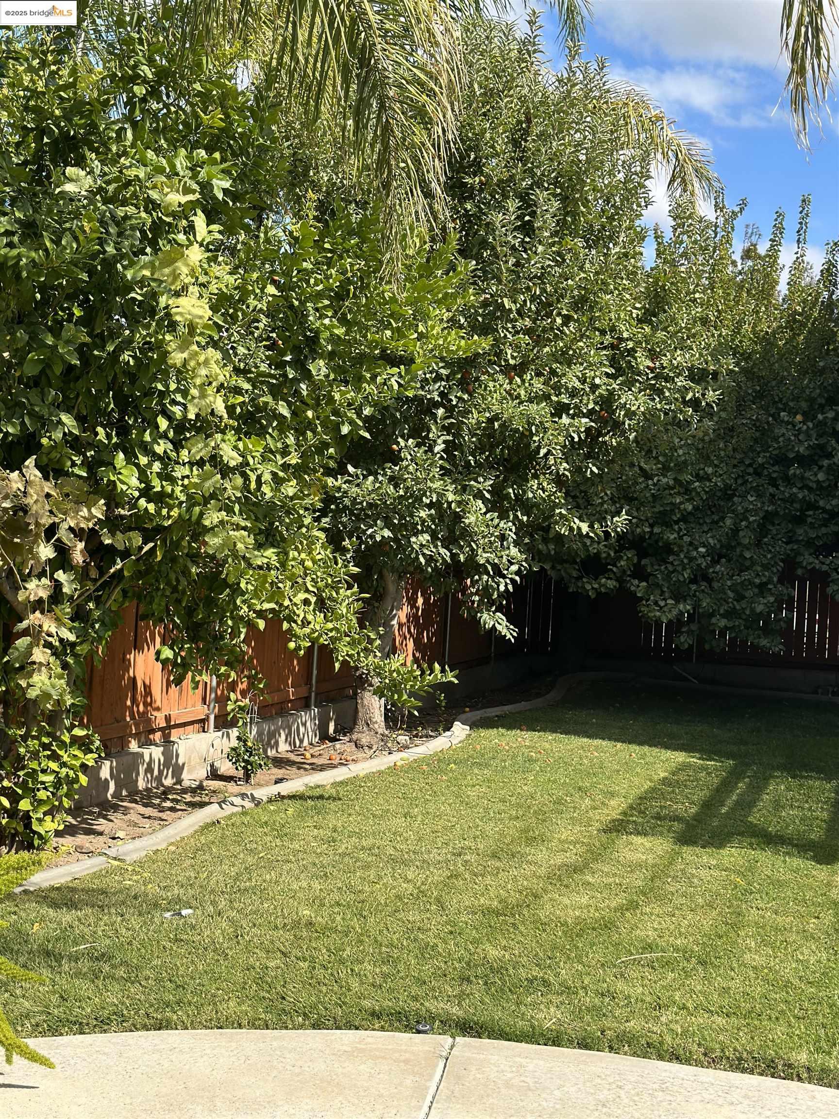 4519 Twin Creeks Court Tracy, CA 95377 - Photo 32 of 34 a view of outdoor space