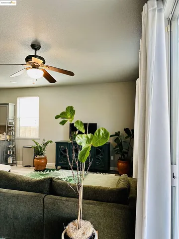 a living room with furniture flowerpot and flower pot