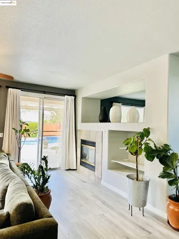 a living room with furniture and a potted plant