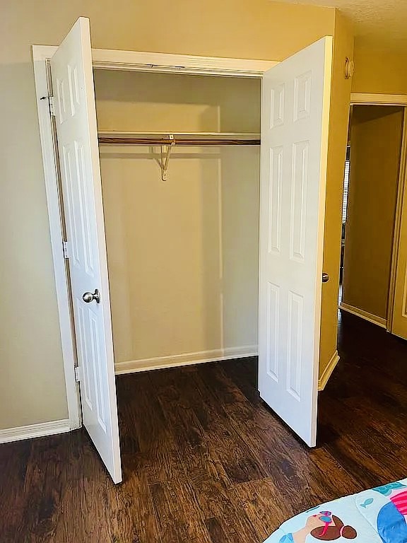 8606 Prima Street Houston, TX 77083 - Photo 20 of 32 Bedroom closet