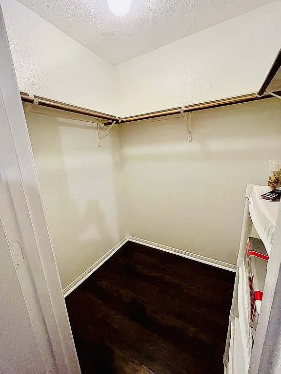 8606 Prima Street Houston, TX 77083 - Photo 25 of 32 Primary walk-in closet