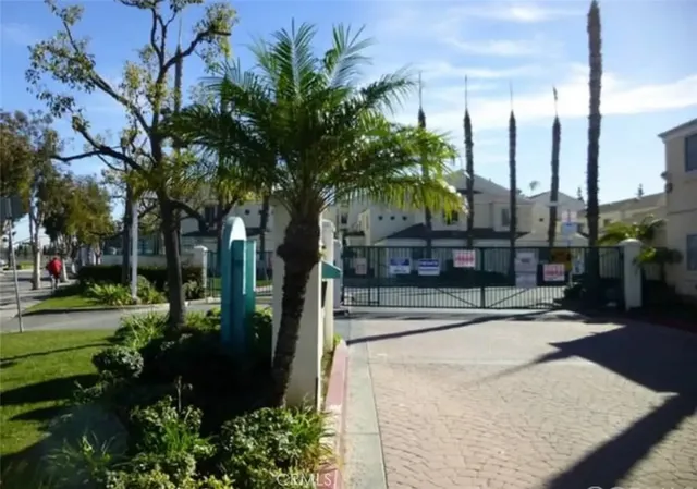 a view of a park with palm trees