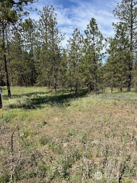 a view of outdoor space and yard