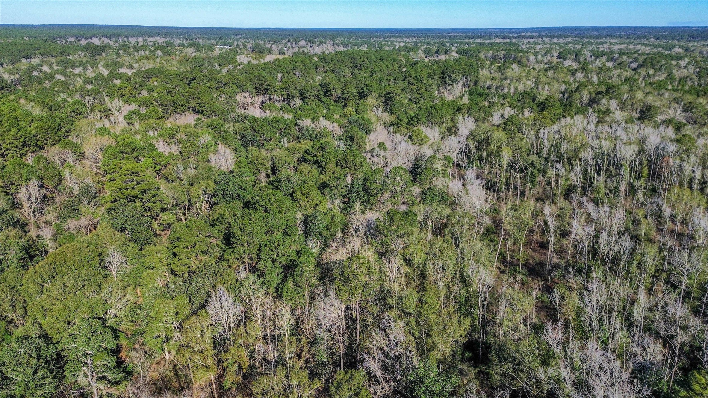 0 Magnolia Drive Cleveland, TX 77328 - Photo 6 of 9