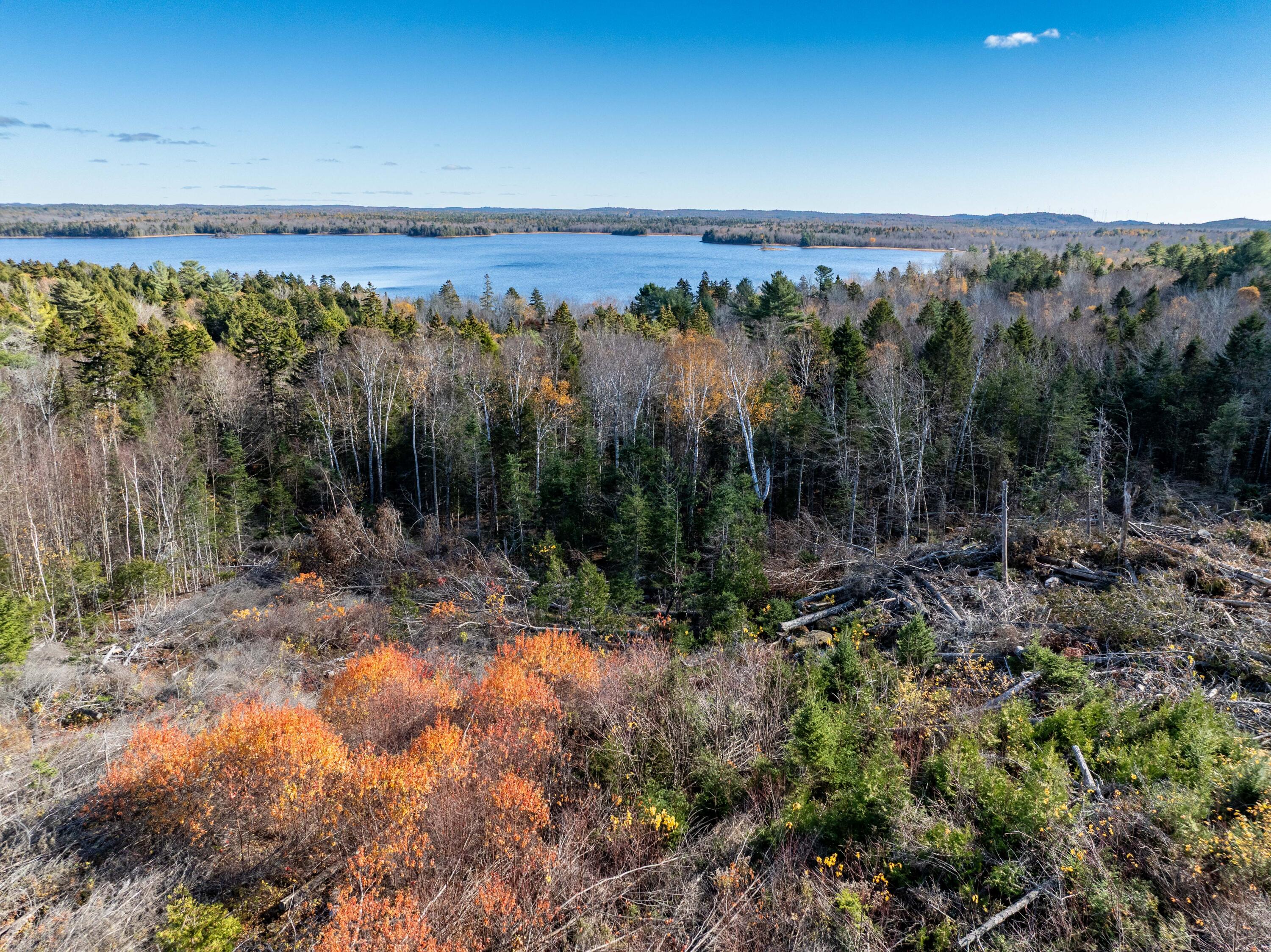 177 Means Cottage Road East Machias, ME 04630 - Photo 29 of 49