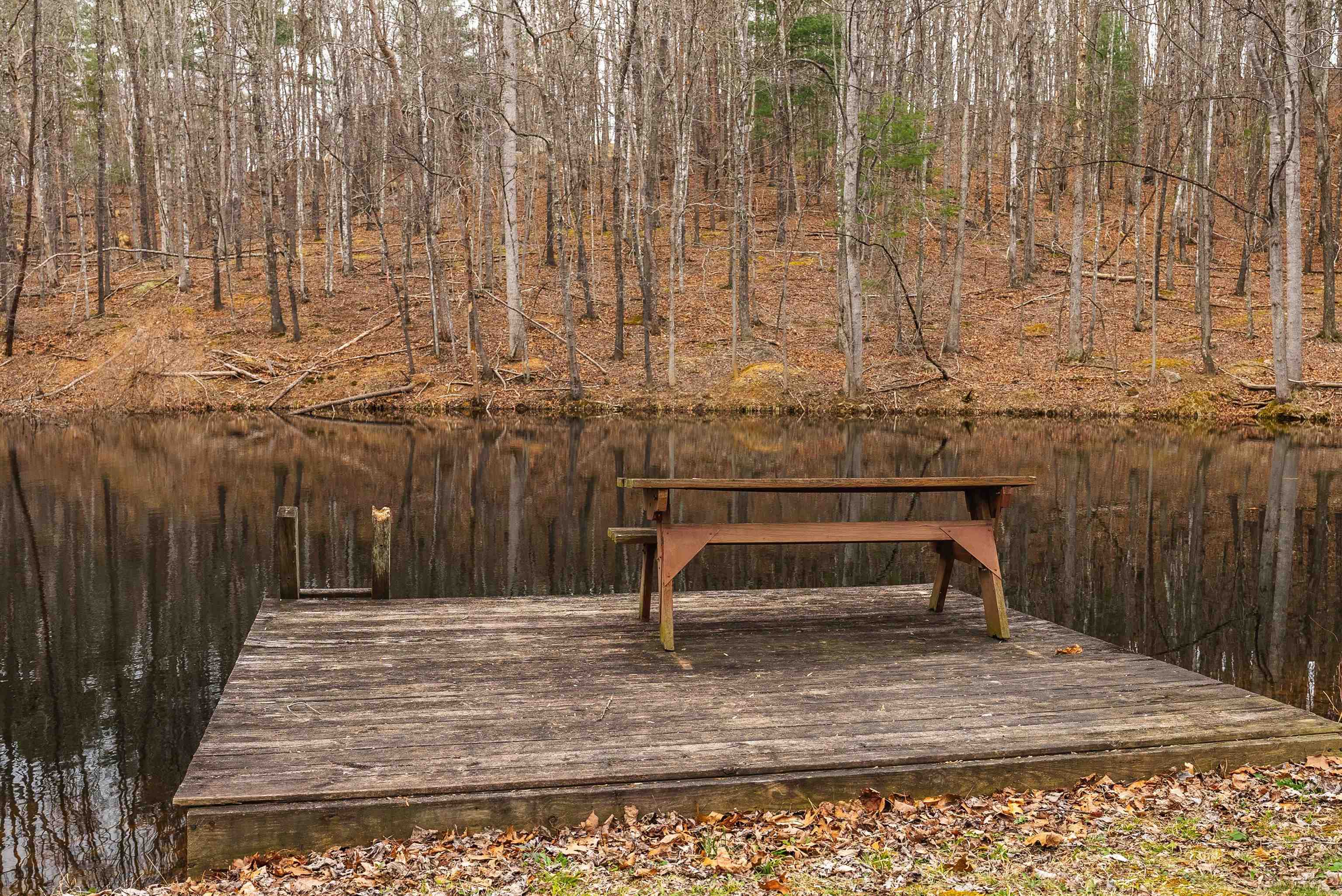 163-acres Hopkins Gap Road Fulks Run, VA 22830 - Photo 18 of 75 a room with a bench