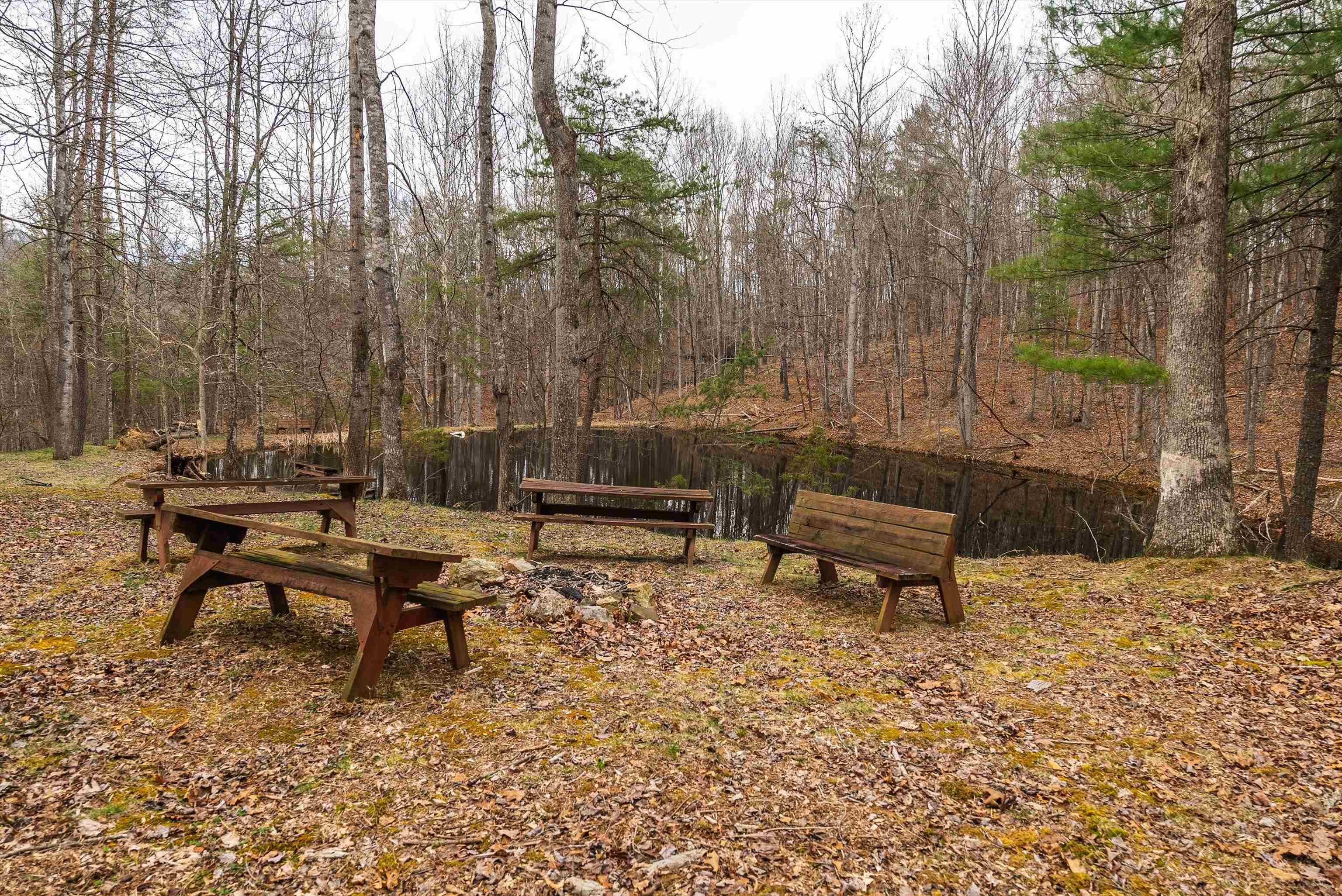 163-acres Hopkins Gap Road Fulks Run, VA 22830 - Photo 19 of 75 a view of a backyard with sitting area