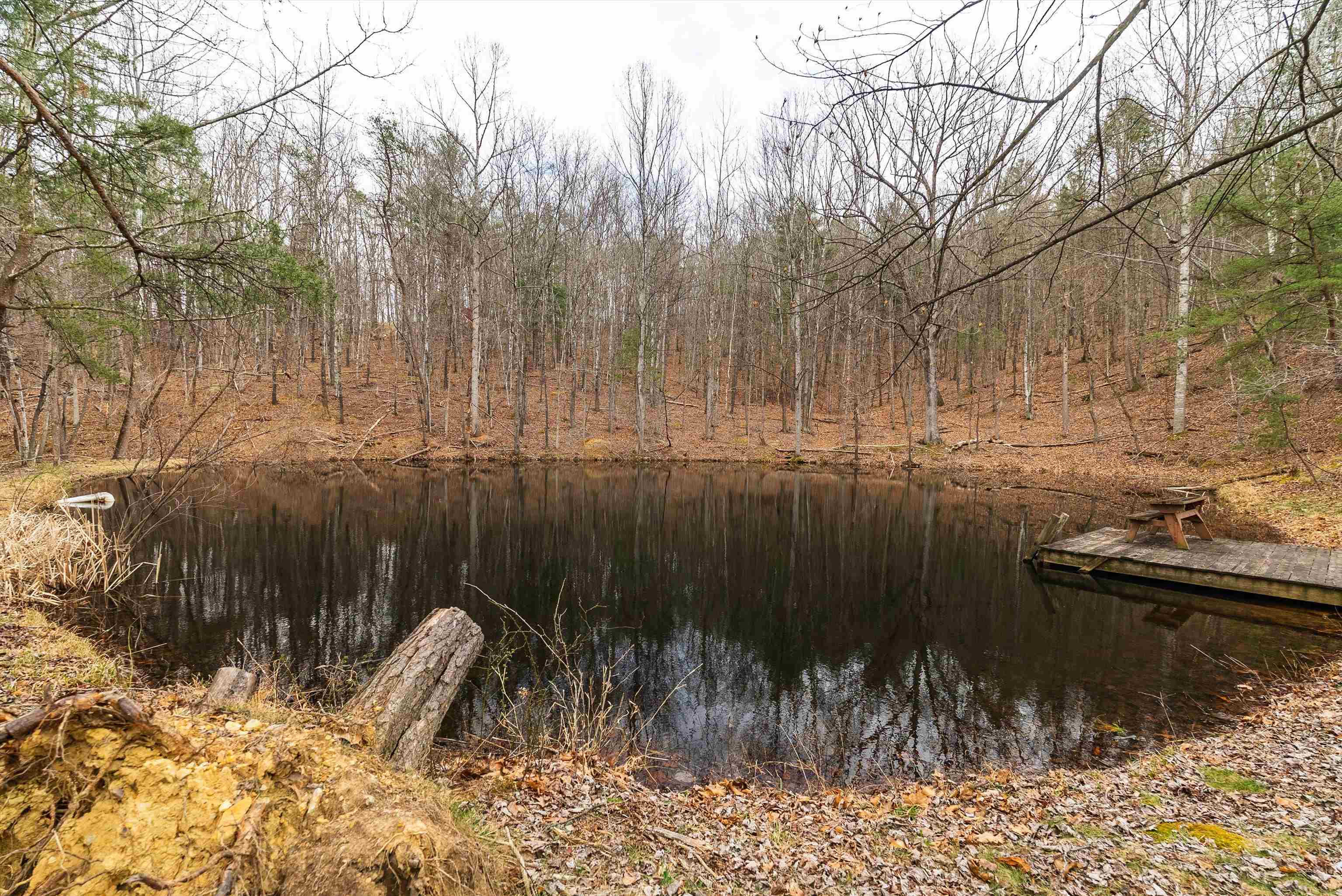 163-acres Hopkins Gap Road Fulks Run, VA 22830 - Photo 23 of 75