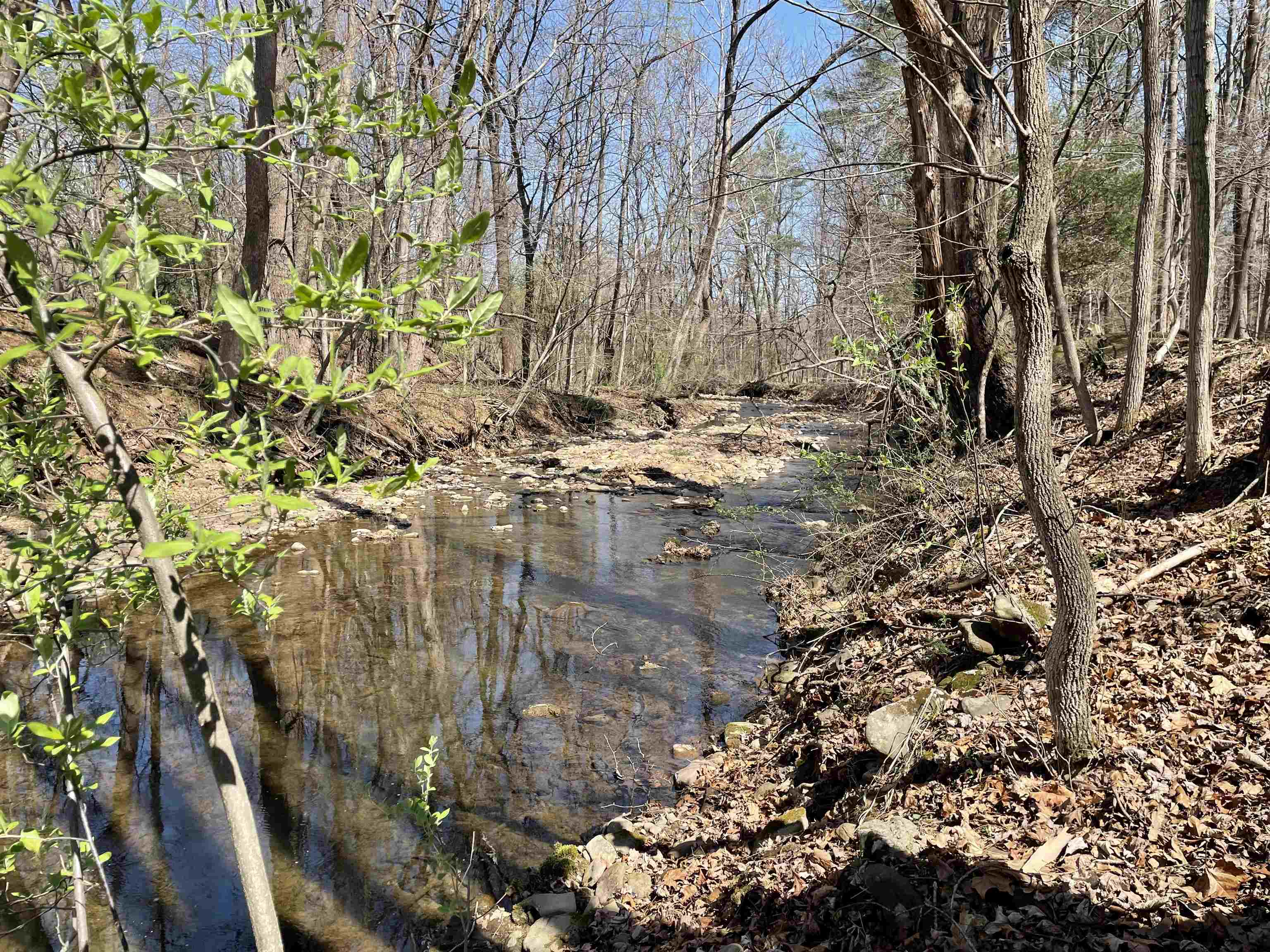 163-acres Hopkins Gap Road Fulks Run, VA 22830 - Photo 26 of 75