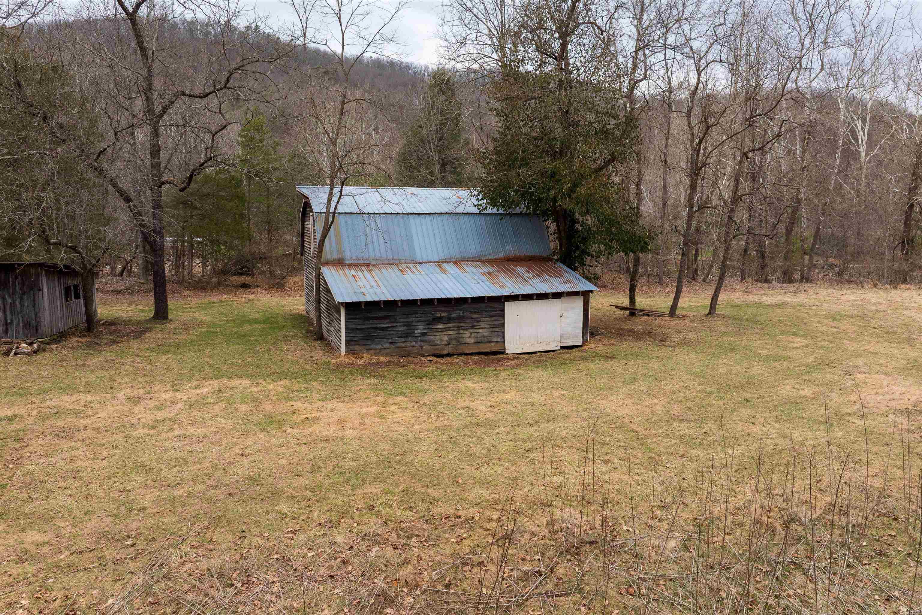 163-acres Hopkins Gap Road Fulks Run, VA 22830 - Photo 29 of 75 a view of backyard with a barn and large trees