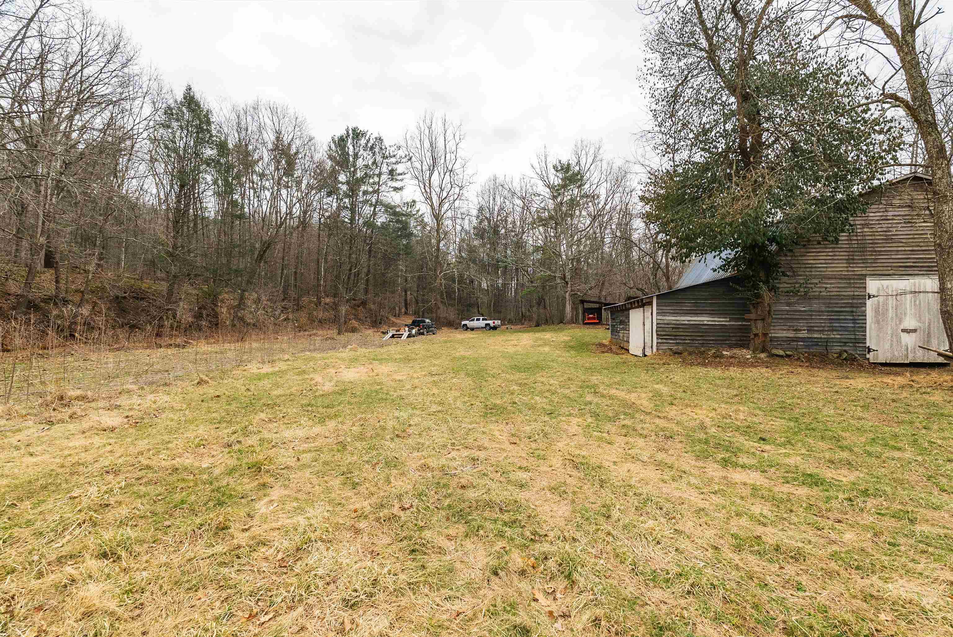 163-acres Hopkins Gap Road Fulks Run, VA 22830 - Photo 34 of 75 a view of a yard with a tree