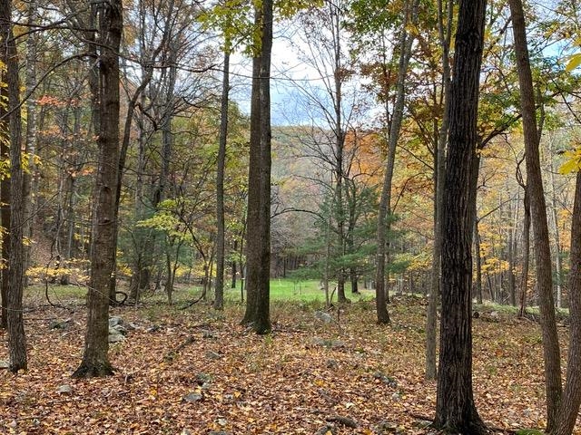 163-acres Hopkins Gap Road Fulks Run, VA 22830 - Photo 53 of 75