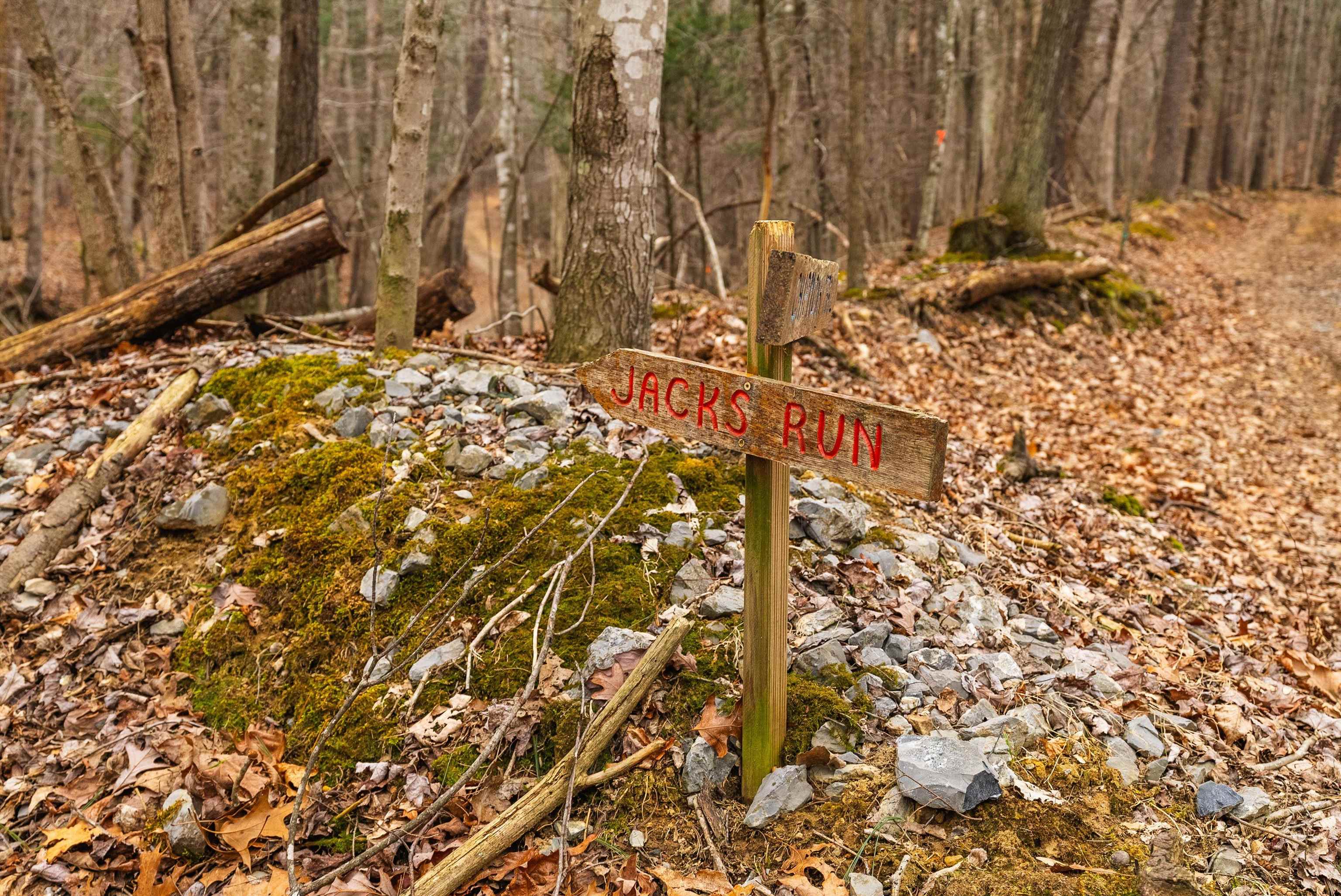 163-acres Hopkins Gap Road Fulks Run, VA 22830 - Photo 64 of 75