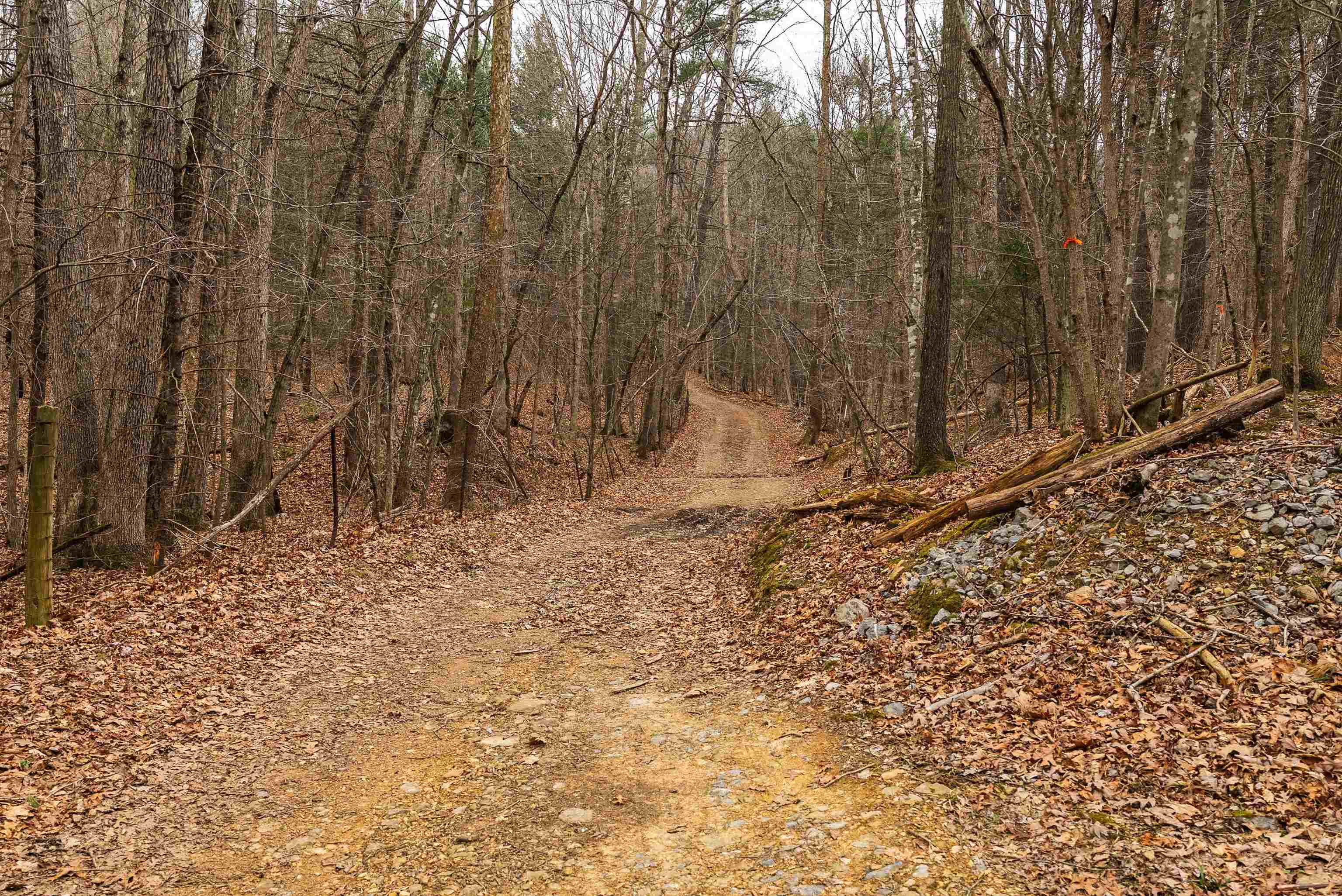 163-acres Hopkins Gap Road Fulks Run, VA 22830 - Photo 65 of 75 a view of a backyard of the house