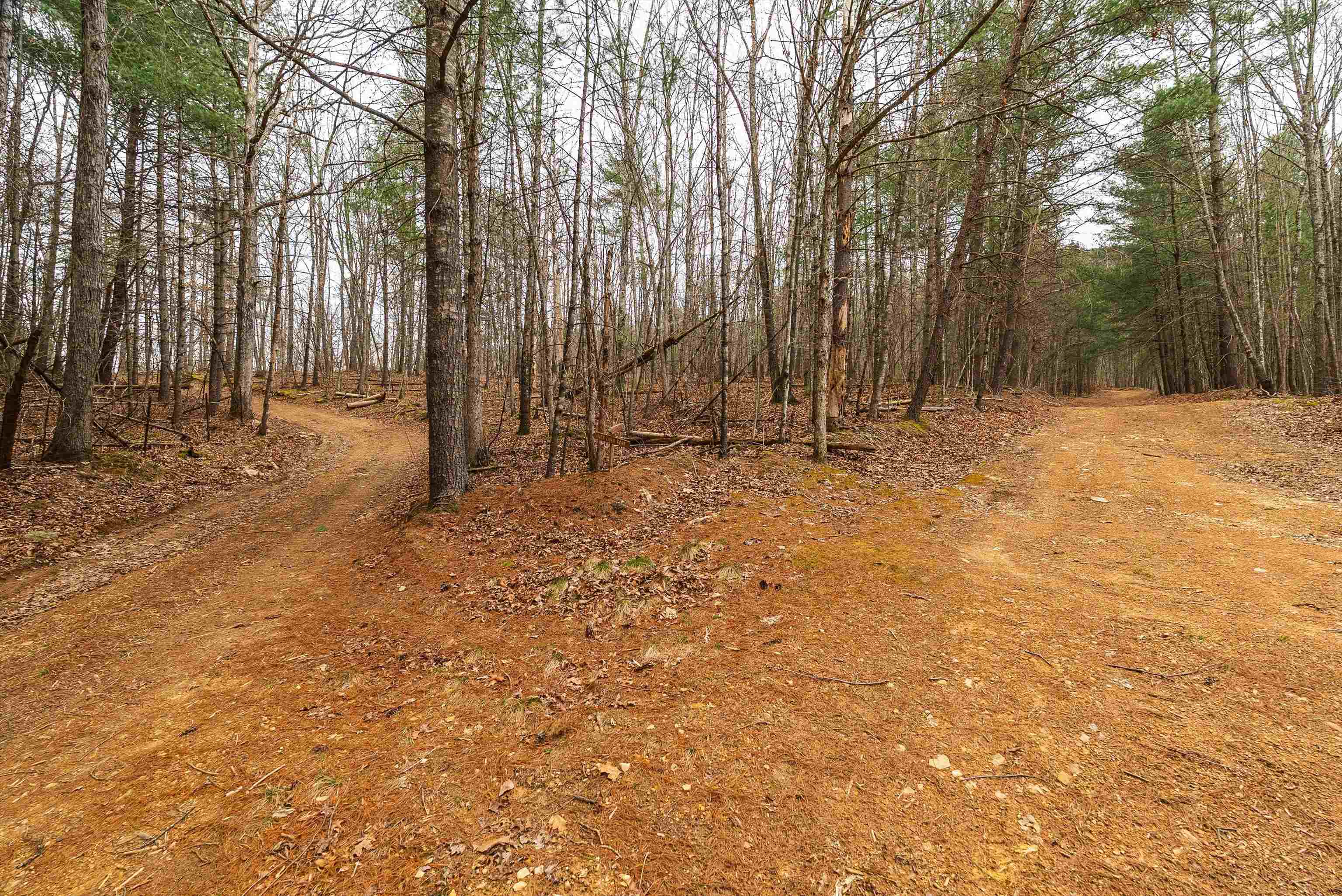 163-acres Hopkins Gap Road Fulks Run, VA 22830 - Photo 66 of 75 a backyard of a house with large trees