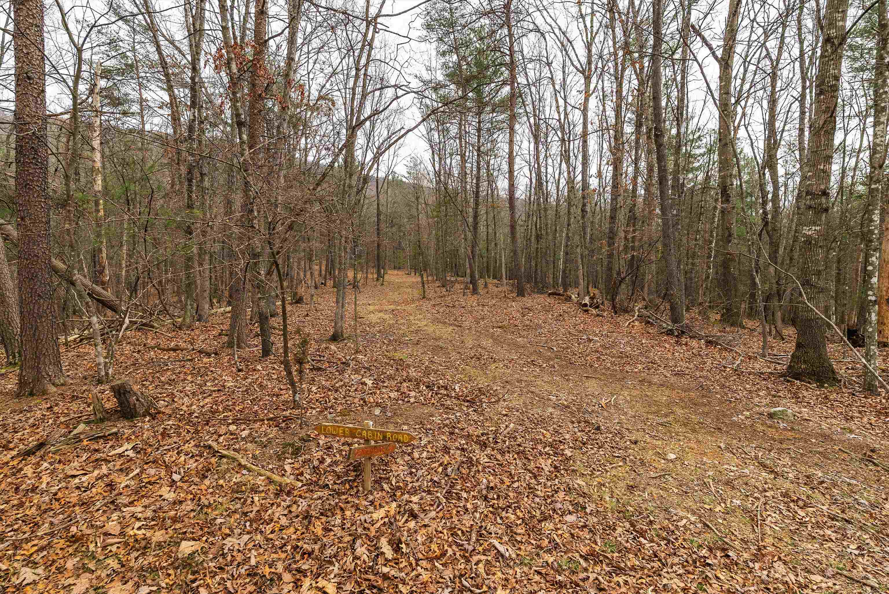 163-acres Hopkins Gap Road Fulks Run, VA 22830 - Photo 69 of 75 a backyard of a house with lots of green space
