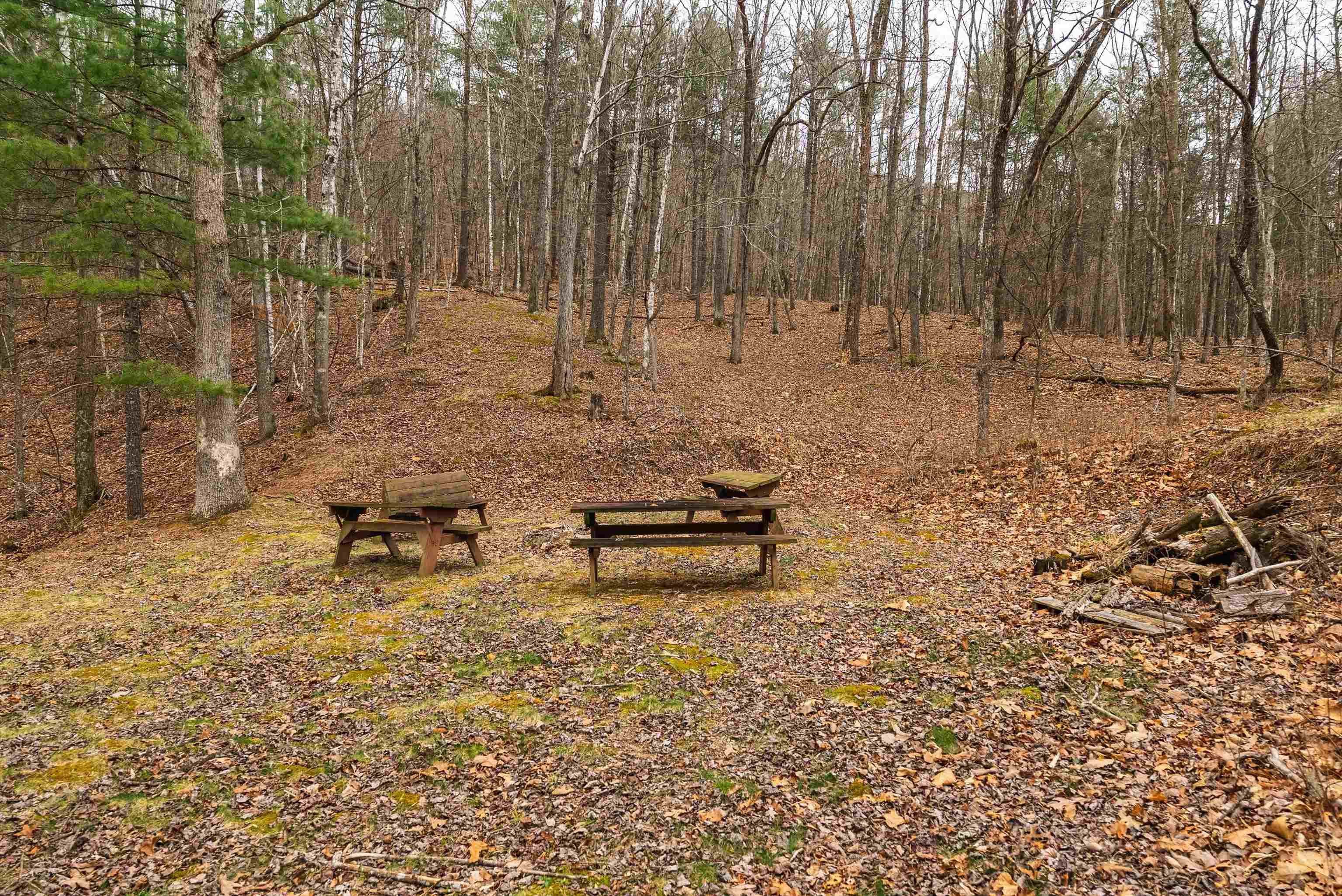 163-acres Hopkins Gap Road Fulks Run, VA 22830 - Photo 72 of 75 a backyard of a house with lots of green space