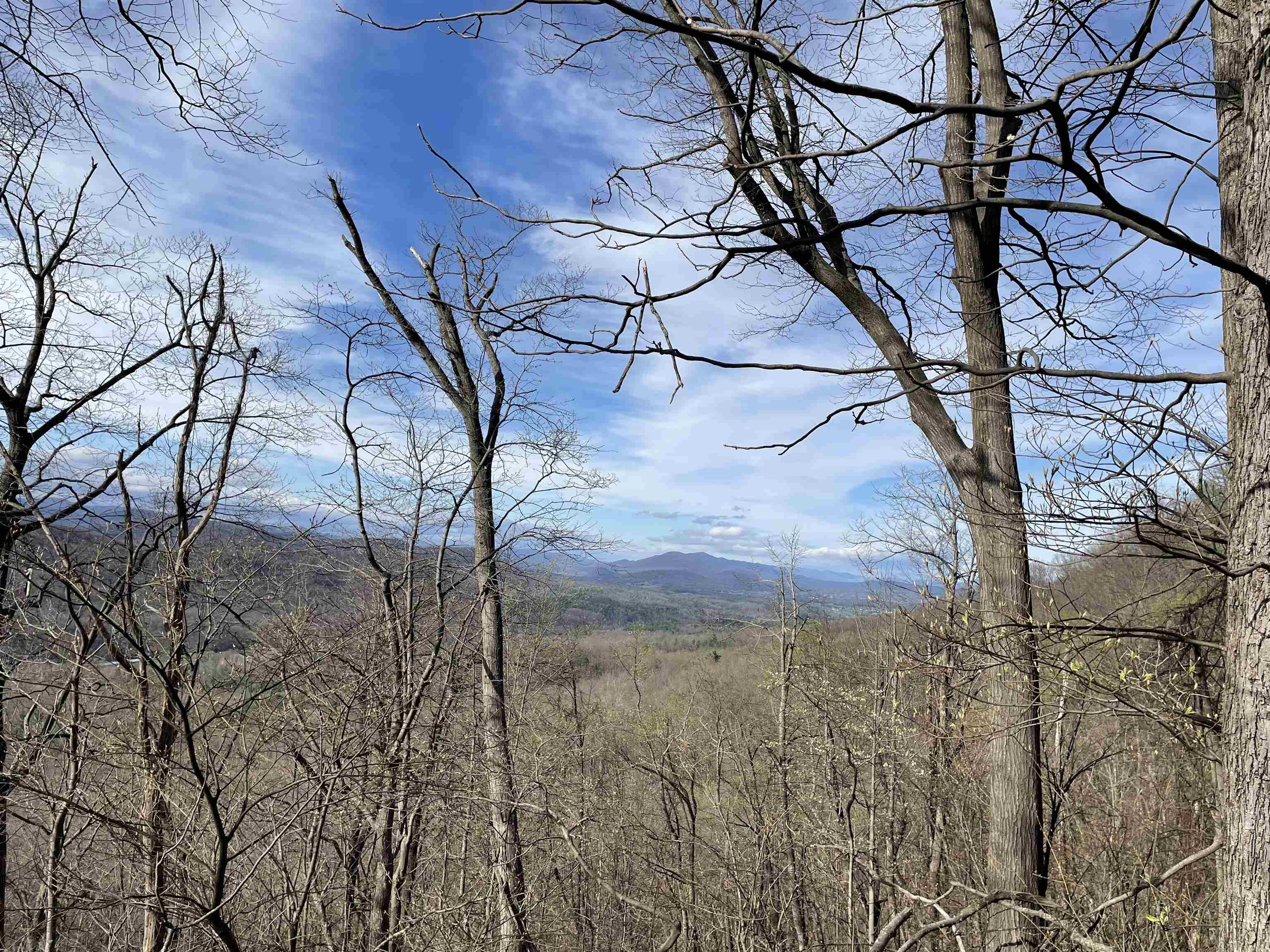 163-acres Hopkins Gap Road Fulks Run, VA 22830 - Photo 75 of 75