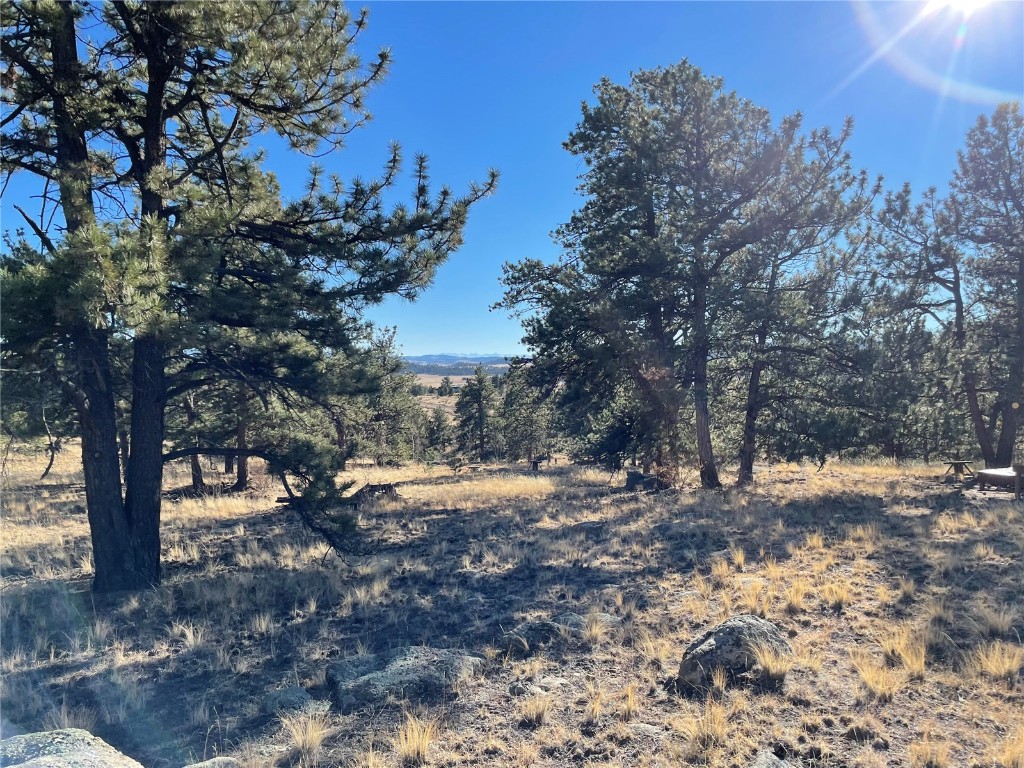 400 Sequoia Road Hartsel, CO 80449 - Photo 1 of 12 a view of a snow on the side of the road