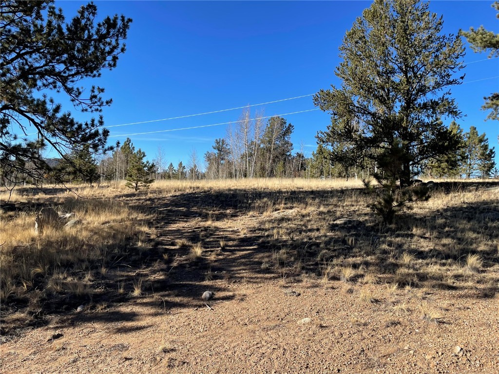 400 Sequoia Road Hartsel, CO 80449 - Photo 3 of 12 a view of a yard with wooden fence