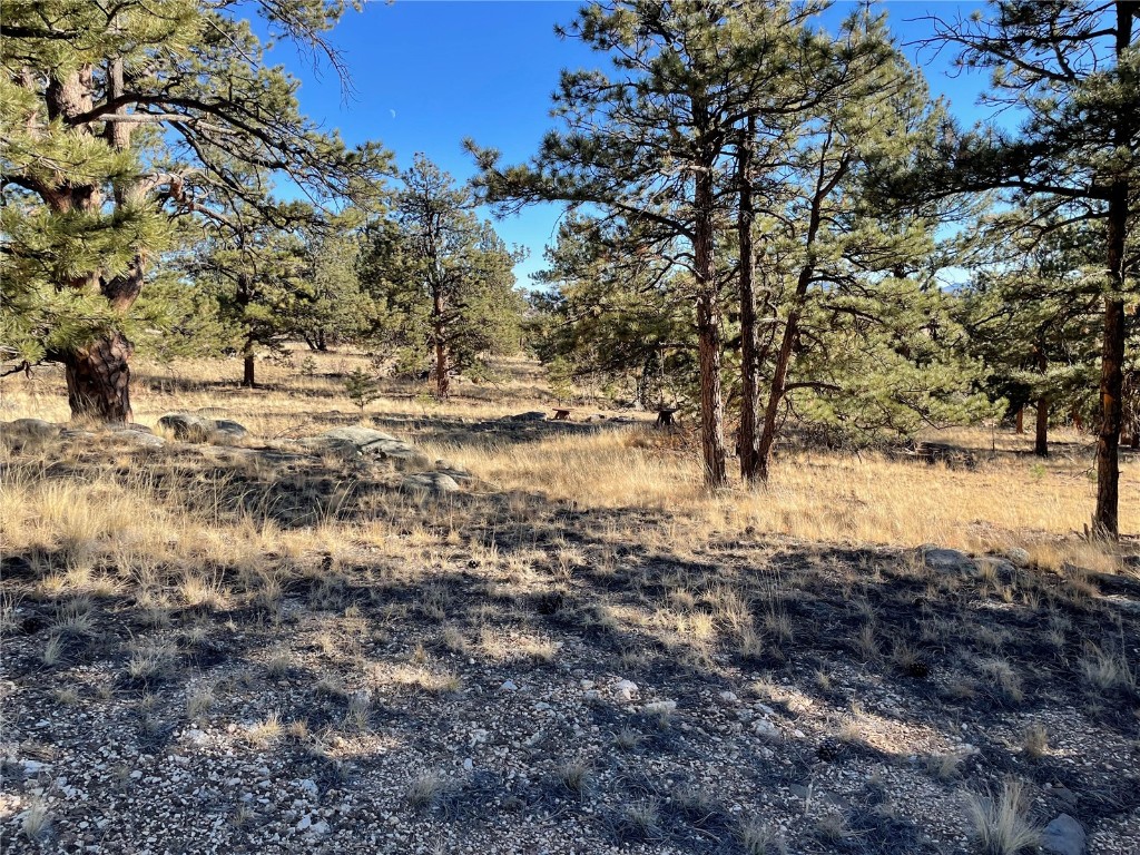 400 Sequoia Road Hartsel, CO 80449 - Photo 5 of 12 a view of yard covered with snow