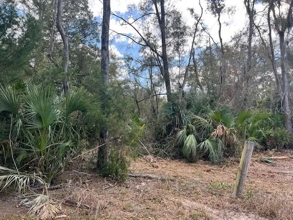 $199,000 | 65 Southeast 153rd Avenue, Old Town, FL 32680