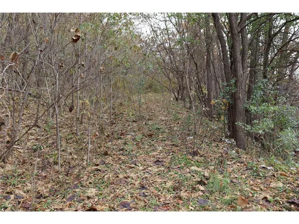 $45,000 | Tbd North Hill Street, Fountain City, WI 54629