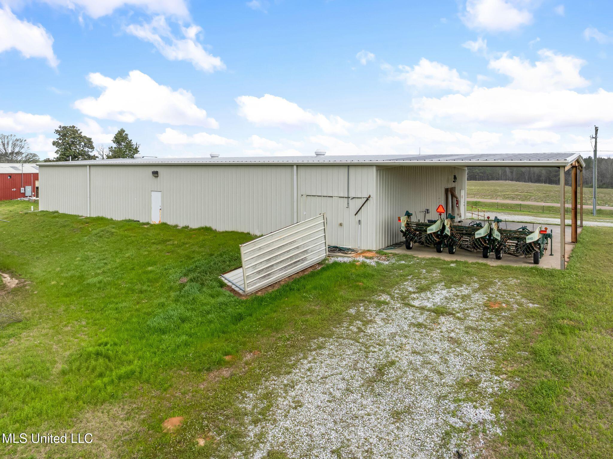 300 Acres /- Highway Mount Olive, MS 39119 - Photo 18 of 54 00_MS-532-18