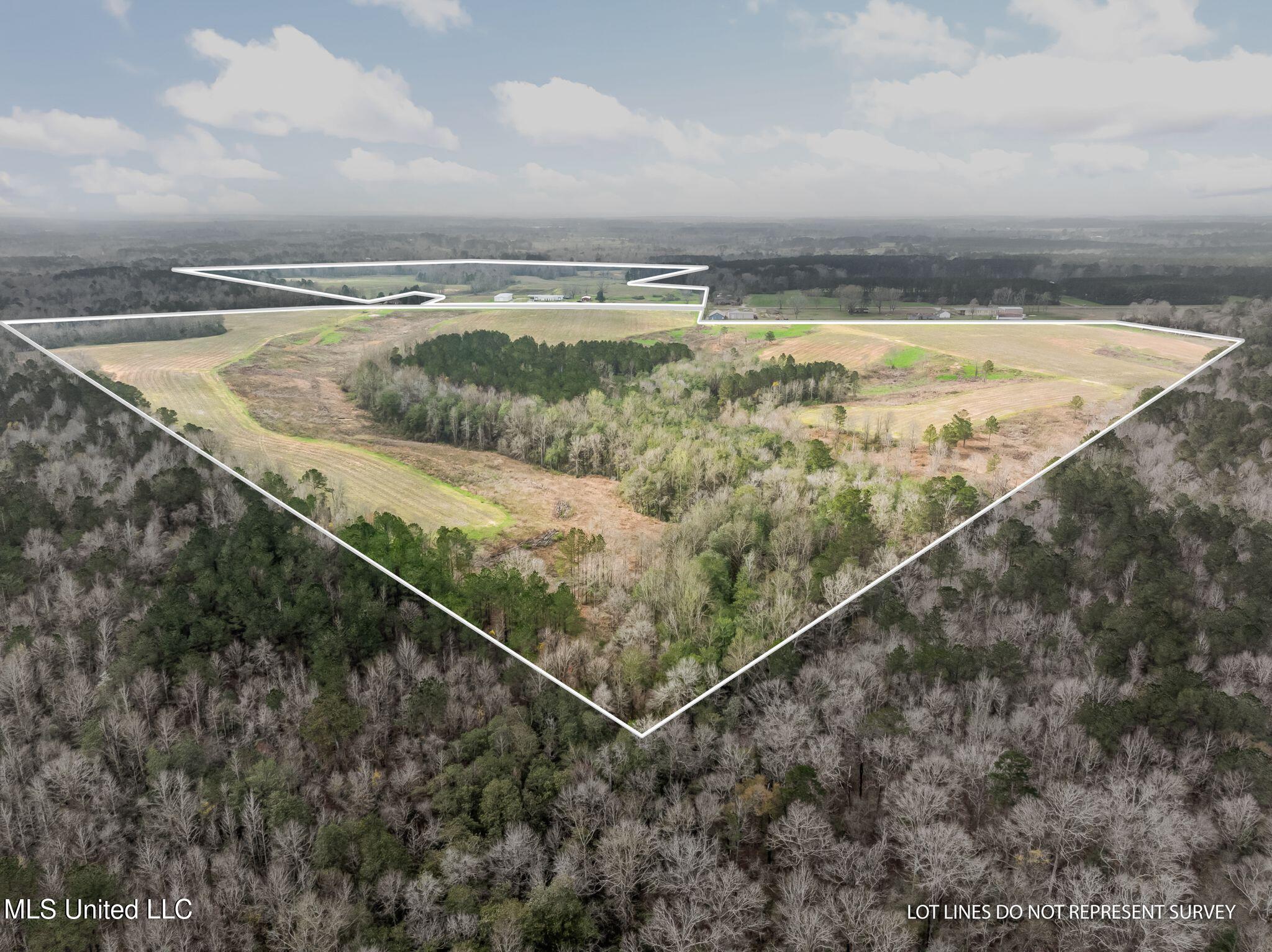 300 Acres /- Highway Mount Olive, MS 39119 - Photo 2 of 54 00_MS-532-1