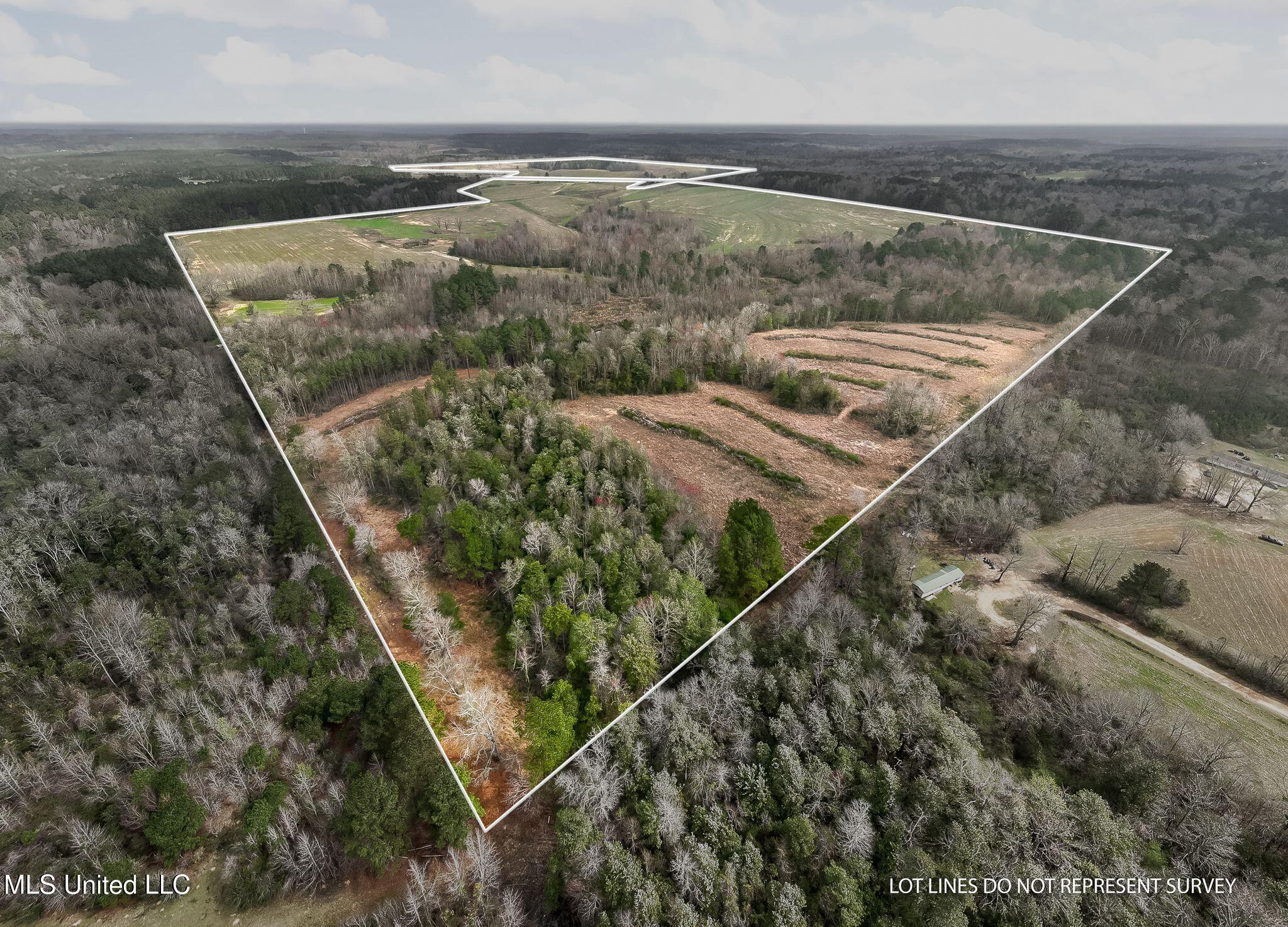 300 Acres /- Highway Mount Olive, MS 39119 - Photo 3 of 54 00_MS-532-2