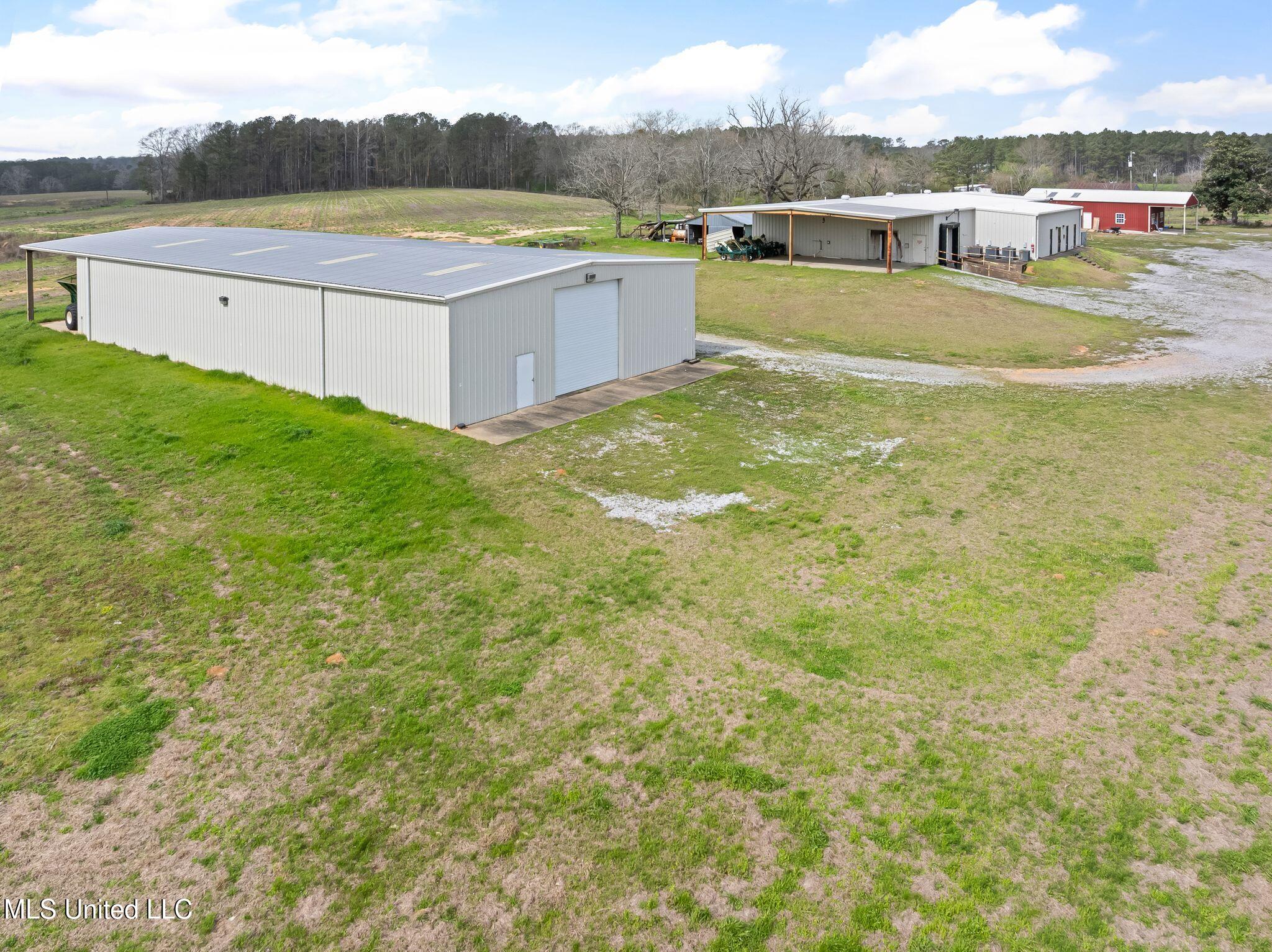 300 Acres /- Highway Mount Olive, MS 39119 - Photo 32 of 54 00_MS-532-32