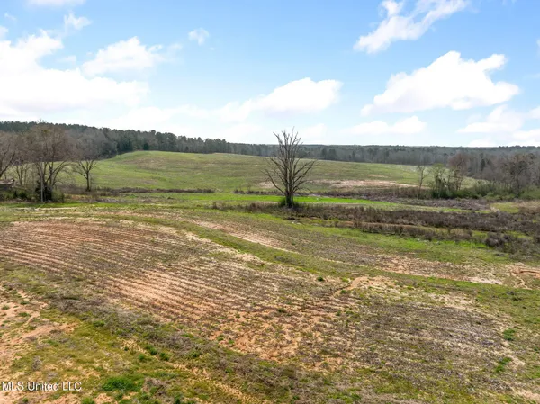 $1,200,000 | 300 Acres /- Highway, Mount Olive, MS 39119
