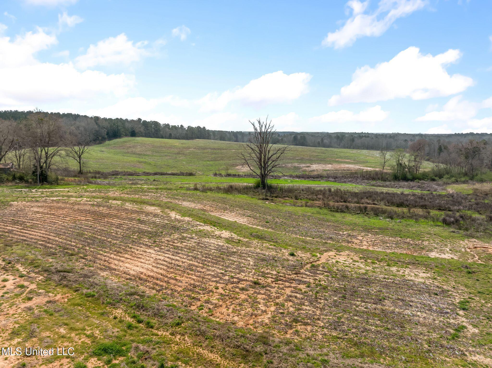 300 Acres /- Highway Mount Olive, MS 39119 - Photo 38 of 54 00_MS-532-38