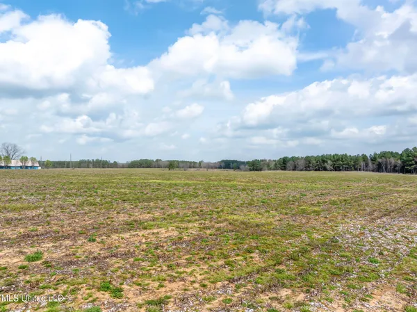 $1,200,000 | 300 Acres /- Highway, Mount Olive, MS 39119