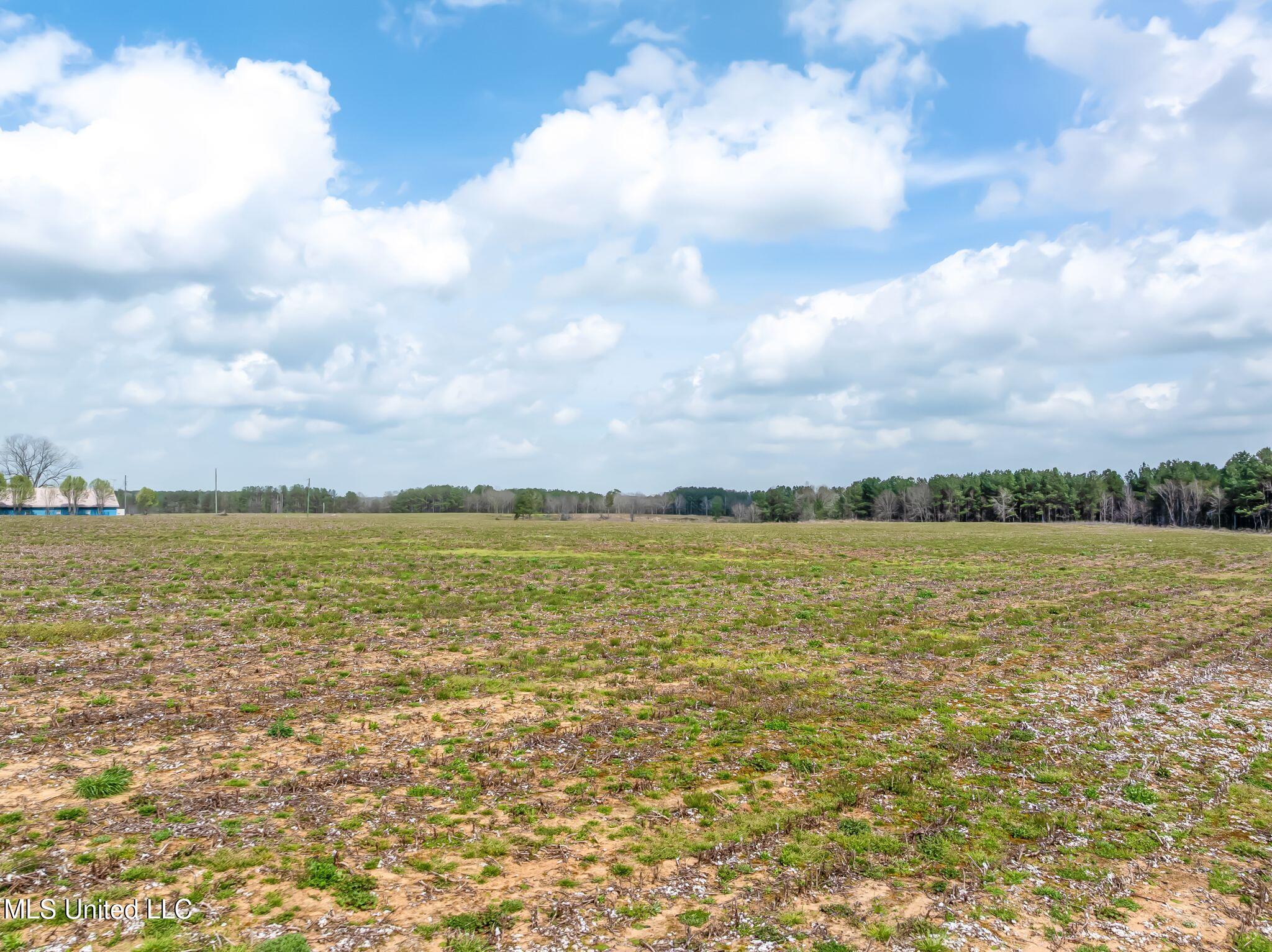 300 Acres /- Highway Mount Olive, MS 39119 - Photo 40 of 54 00_MS-532-40