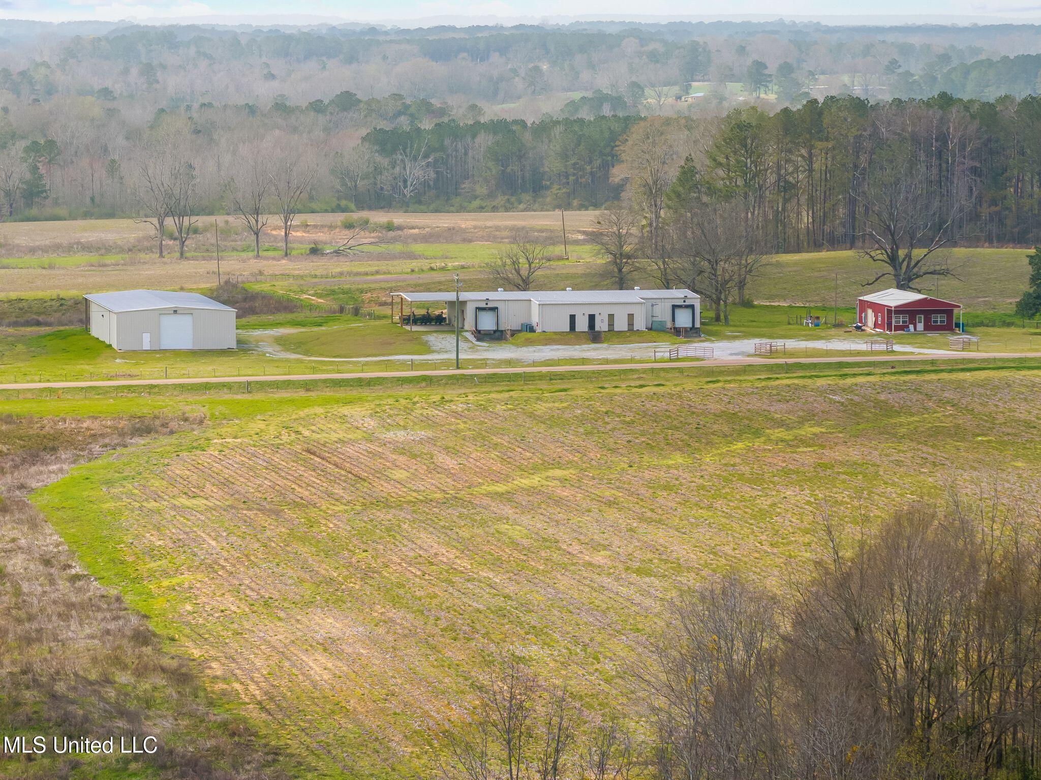300 Acres /- Highway Mount Olive, MS 39119 - Photo 4 of 54 00_MS-532-3