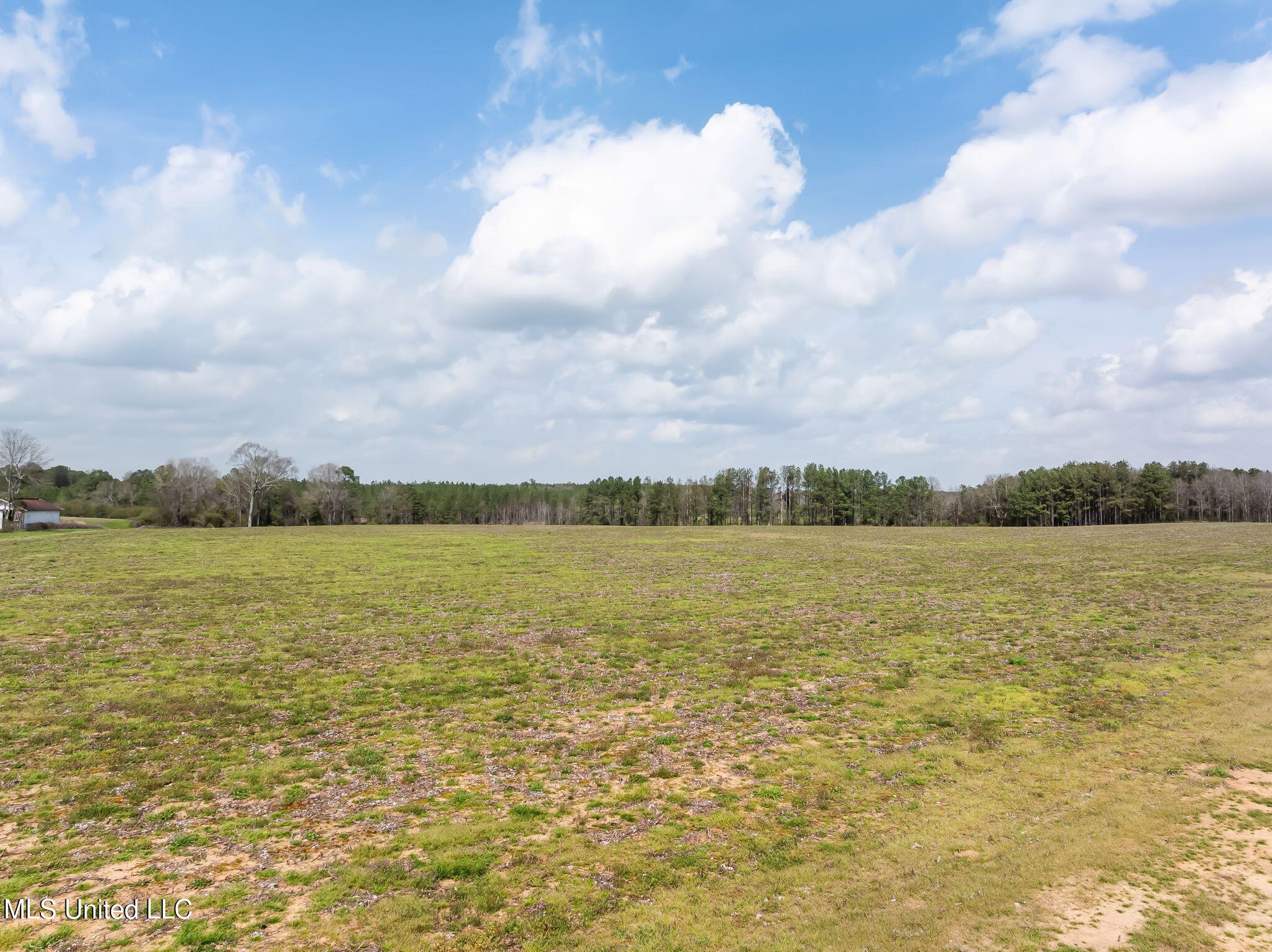 300 Acres /- Highway Mount Olive, MS 39119 - Photo 41 of 54 00_MS-532-41