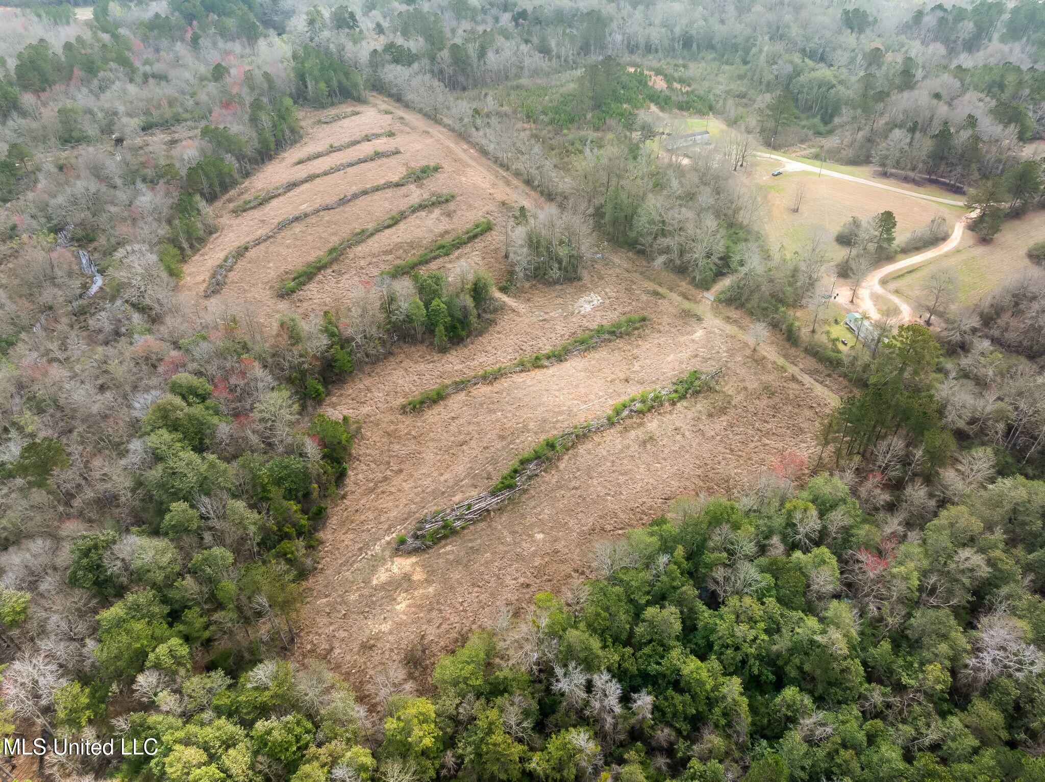 300 Acres /- Highway Mount Olive, MS 39119 - Photo 42 of 54 00_MS-532-42