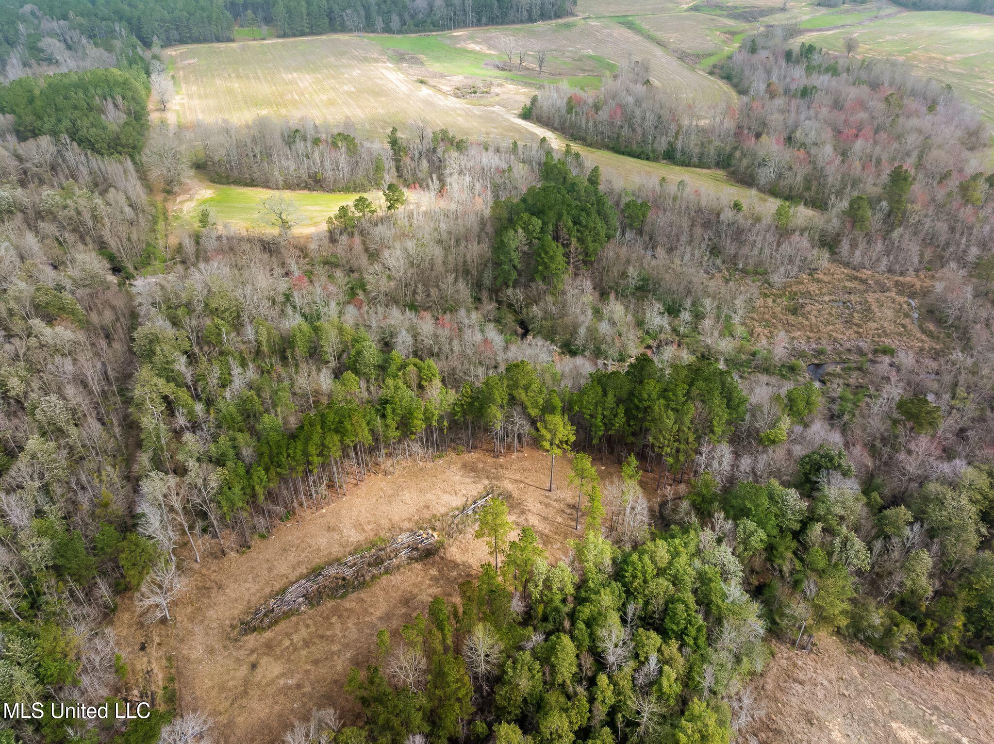 300 Acres /- Highway Mount Olive, MS 39119 - Photo 43 of 54 00_MS-532-43