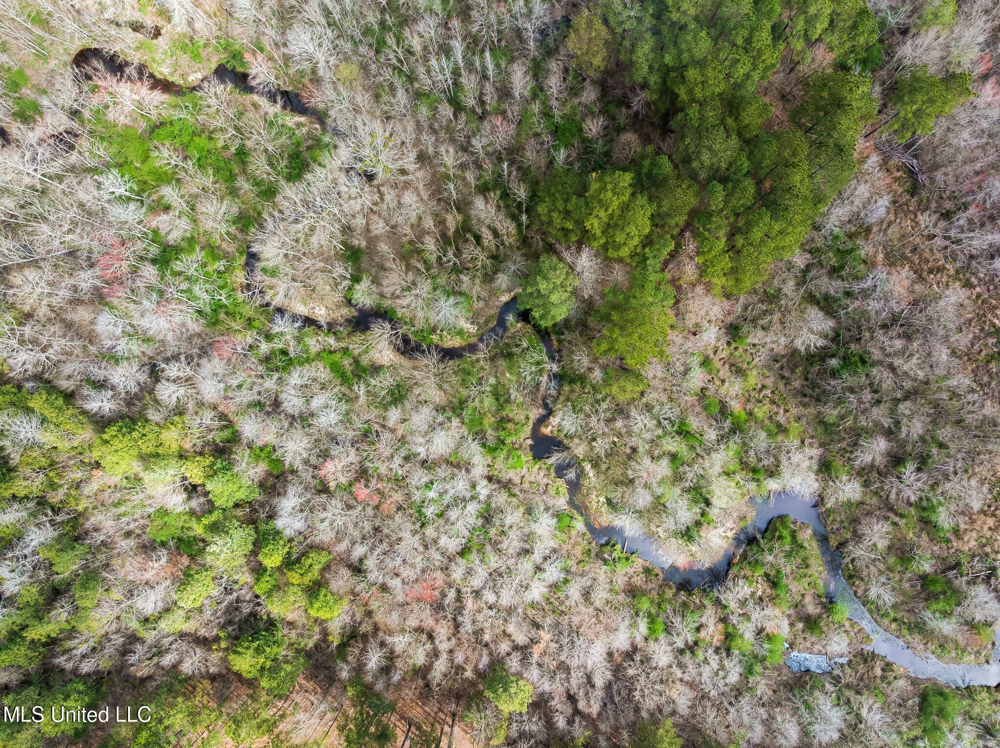 300 Acres /- Highway Mount Olive, MS 39119 - Photo 44 of 54 00_MS-532-44