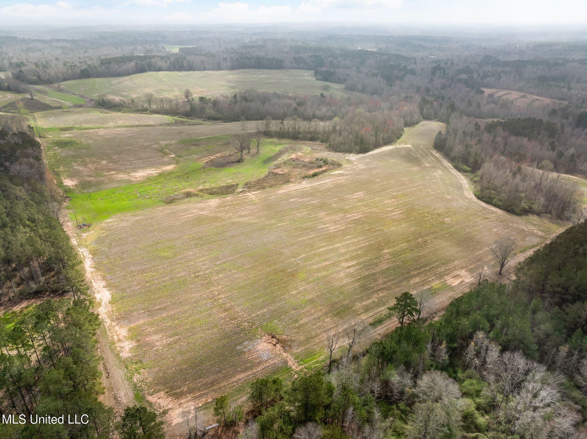 300 Acres /- Highway Mount Olive, MS 39119 - Photo 45 of 54 00_MS-532-45