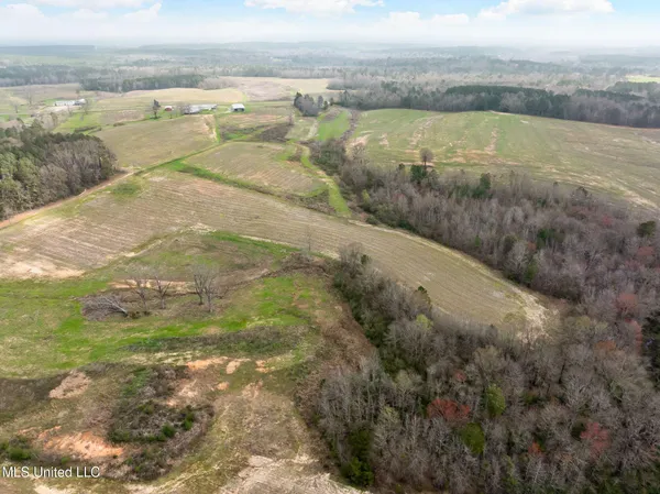 $1,200,000 | 300 Acres /- Highway, Mount Olive, MS 39119