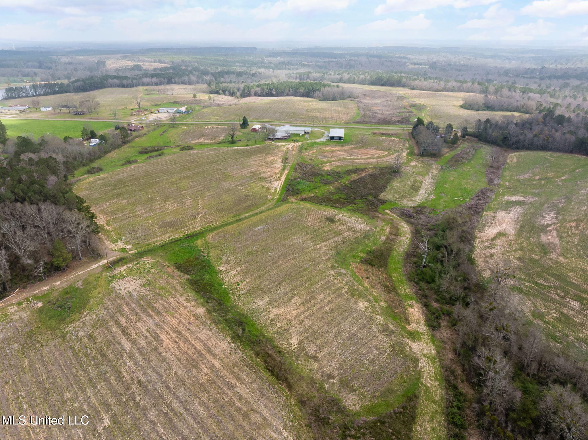 300 Acres /- Highway Mount Olive, MS 39119 - Photo 47 of 54 00_MS-532-47