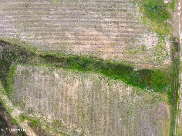 $1,200,000 | 300 Acres /- Highway, Mount Olive, MS 39119