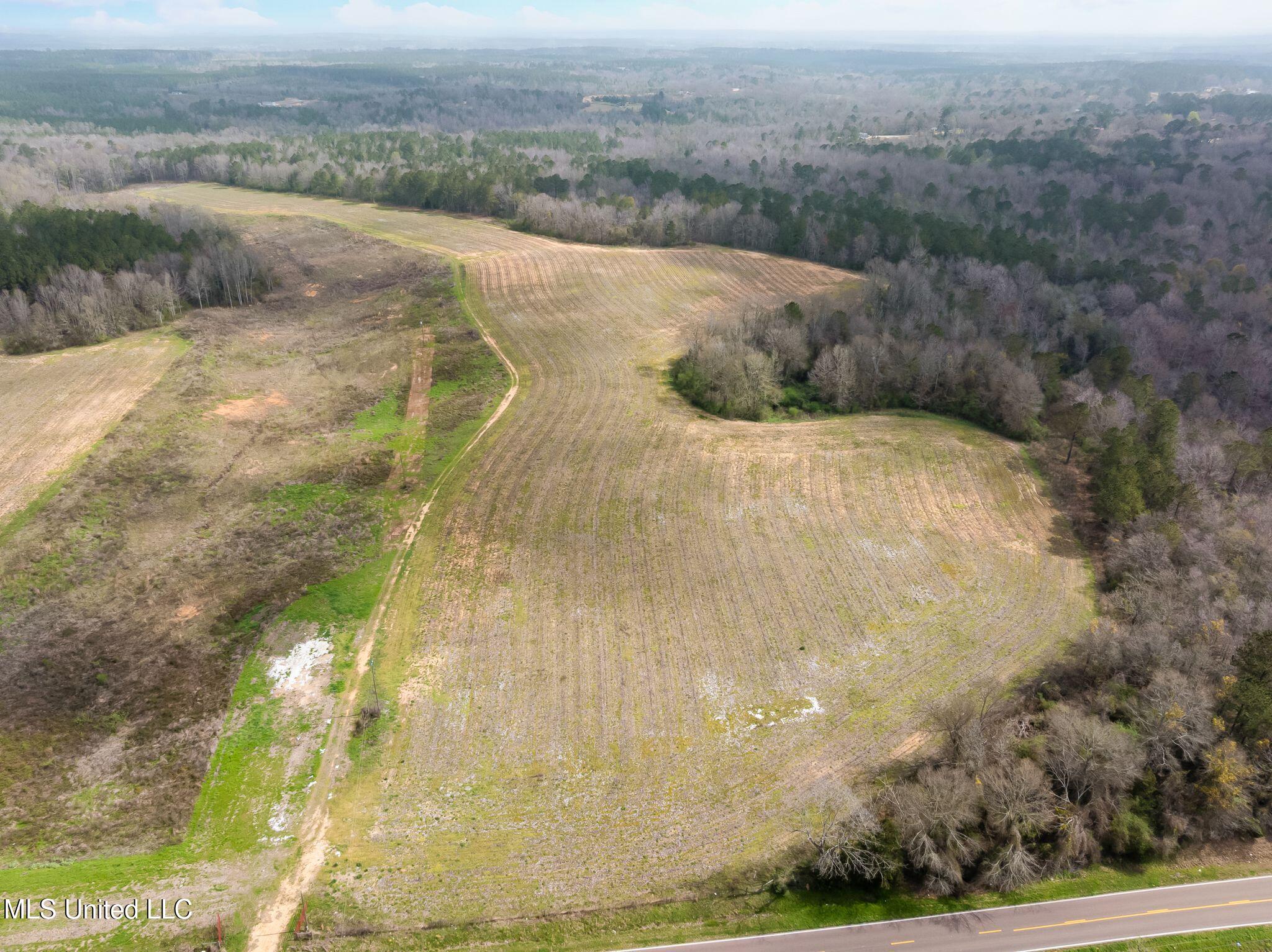 300 Acres /- Highway Mount Olive, MS 39119 - Photo 49 of 54 00_MS-532-49