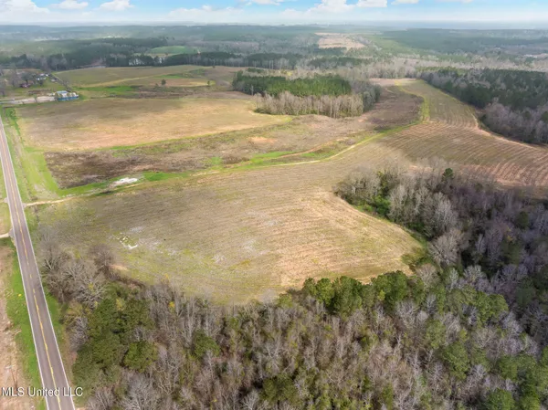 $1,200,000 | 300 Acres /- Highway, Mount Olive, MS 39119